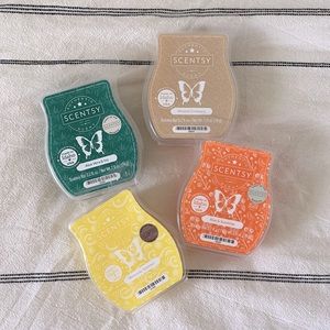 Scentsy wax bars